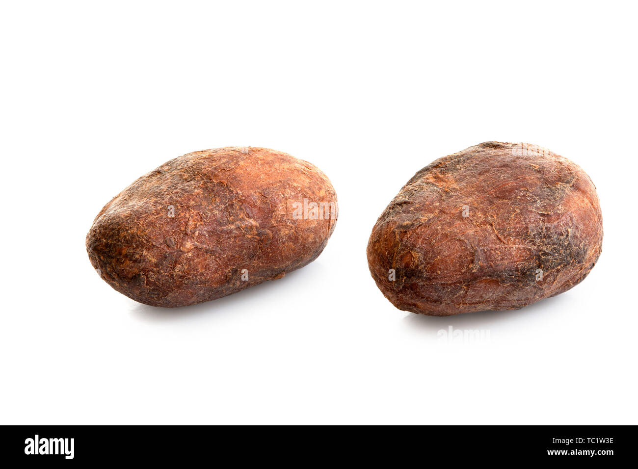 Due arrostito con la buccia le fave di cacao isolato su bianco. Foto Stock