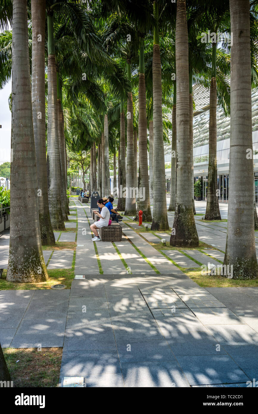 Il Marina Bay a Singapore Foto Stock