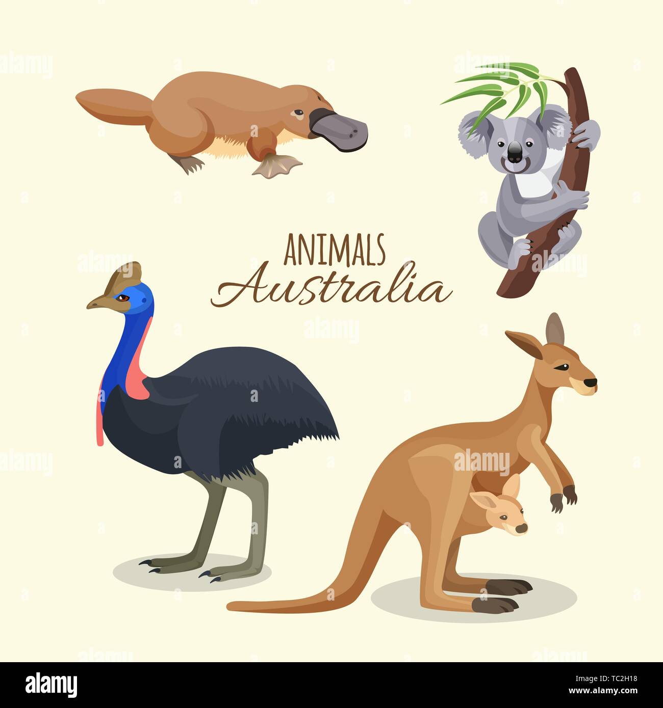 Animali australiani raccolta di canguro marrone con bambino in tasca sulla cintura, GREY KOALA sul ramo con foglie, anatra fatturati platypus e struzzo nero Illustrazione Vettoriale