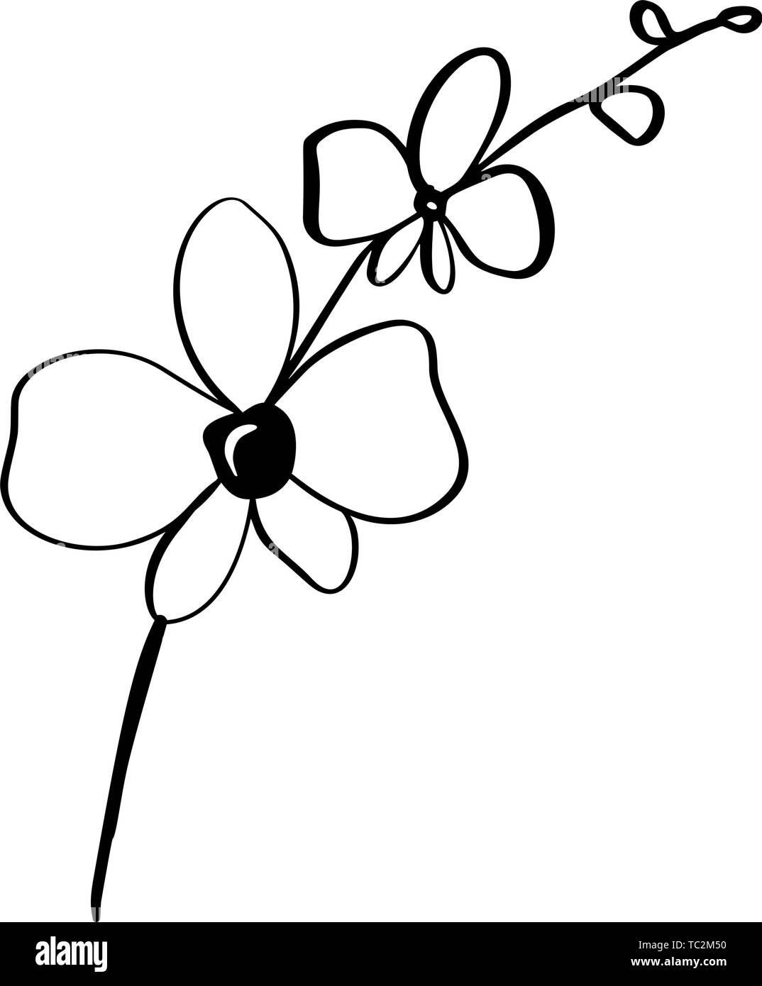 Bel vettore monocromatico sfondo floreale con orchidea ramo con fiori in stile grafico. Icona di illustrazione per il design Illustrazione Vettoriale