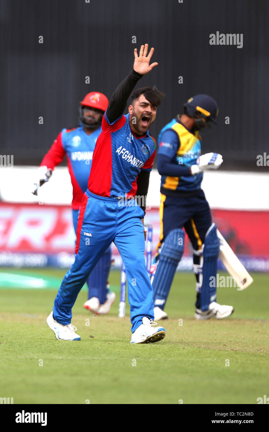 Cardiff, Galles, UK. 04 Giugno, 2019. Il 4 giugno 2019, Sophia Gardens, Cardiff, Galles, ICC Cricket World Cup, Afghanistan versus Sri Lanka; Rashid Khan appelli Credit: Azione Plus immagini di sport/Alamy Live News Foto Stock