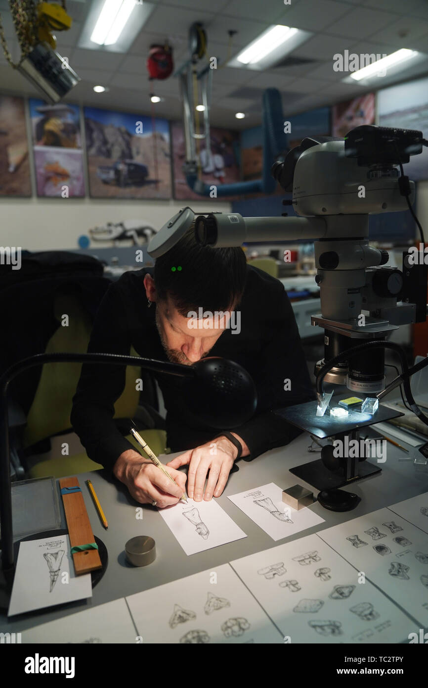 Washington, DC, Stati Uniti d'America. Il 4 giugno, 2019. Un membro del personale richiama le immagini dei fossili di piccole dimensioni nella nuova di dinosauri fossili e sala del Smithsonian il Museo Nazionale di Storia Naturale di Washington, DC, Stati Uniti, il 4 giugno 2019. Lo Smithsonian, il Museo Nazionale di Storia Naturale si riapriranno i dinosauri fossili e hall " Il David H. Koch Hall di fossili--tempo di profondo' 8 giugno. Il 31.000-piazza-piede mostra presenterà un autentico Tyrannosaurus rex skeleton al fianco di più di 700 altri esemplari fossili, inclusi i mammiferi, rettili, piante ed insetti. (Xinhua/Liu Jie Credito: Liu Jie/X Foto Stock