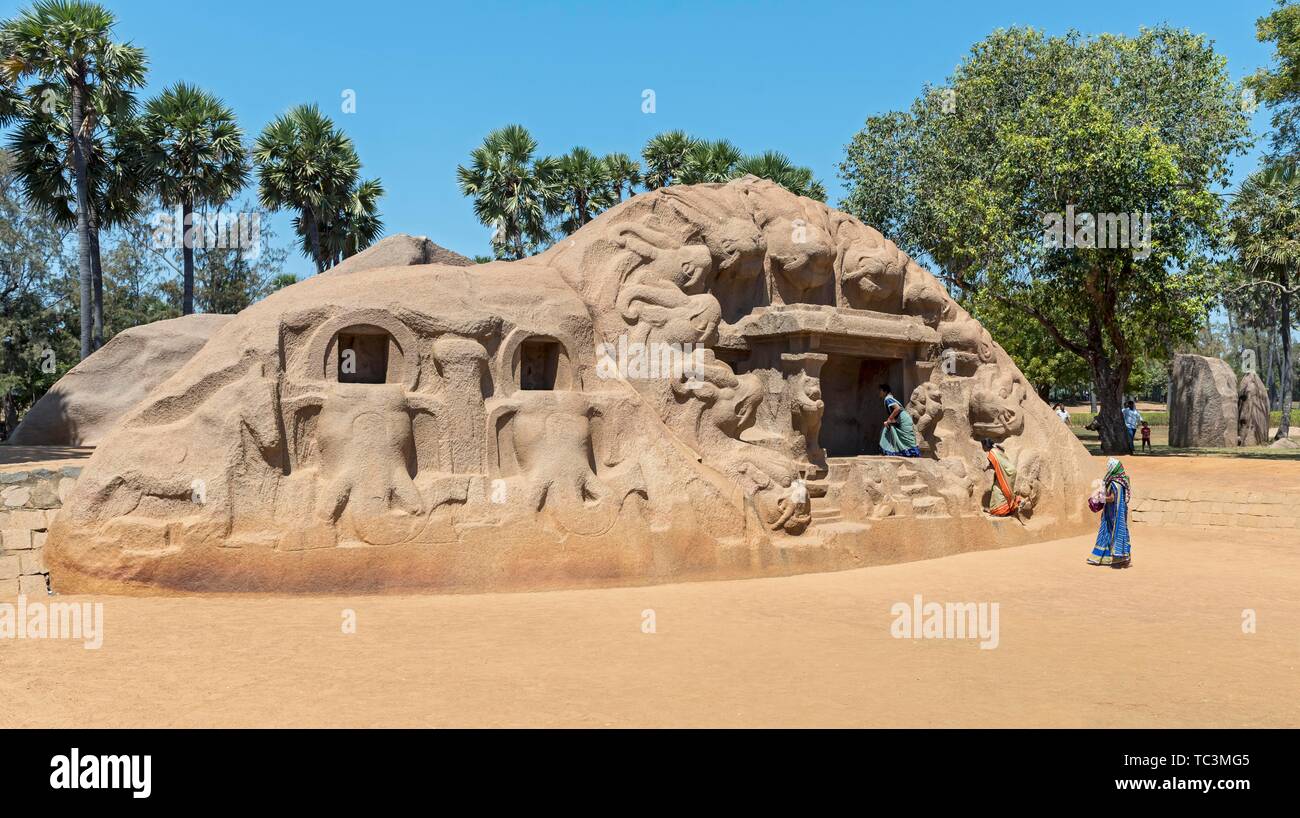 Tiger tempio nella grotta, Yali, Mahabalipuram, Mamallapuram, India Foto Stock