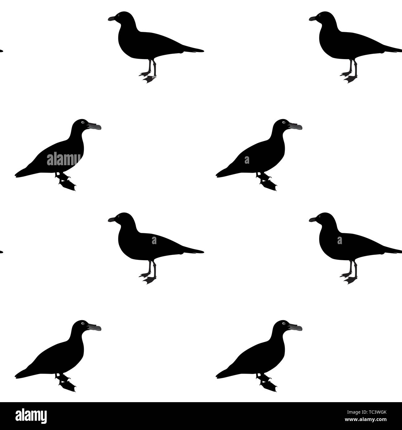 Silhouette di anatra di acqua su sfondo bianco. Modello senza giunture. Illustrazione Vettoriale. EPS10 Illustrazione Vettoriale