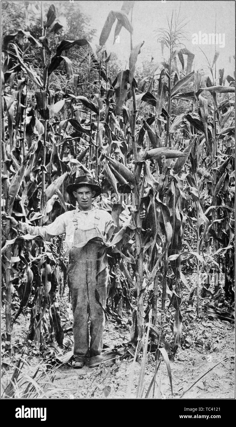 Fotografia di un allevatore locale tra il Texas Congresso industriale del raccolto di mais, dal libro "Libro di Texas' da Harry Yandell Benedetto e Giovanni A. Lomax, 1916. La cortesia Internet Archive. () Foto Stock