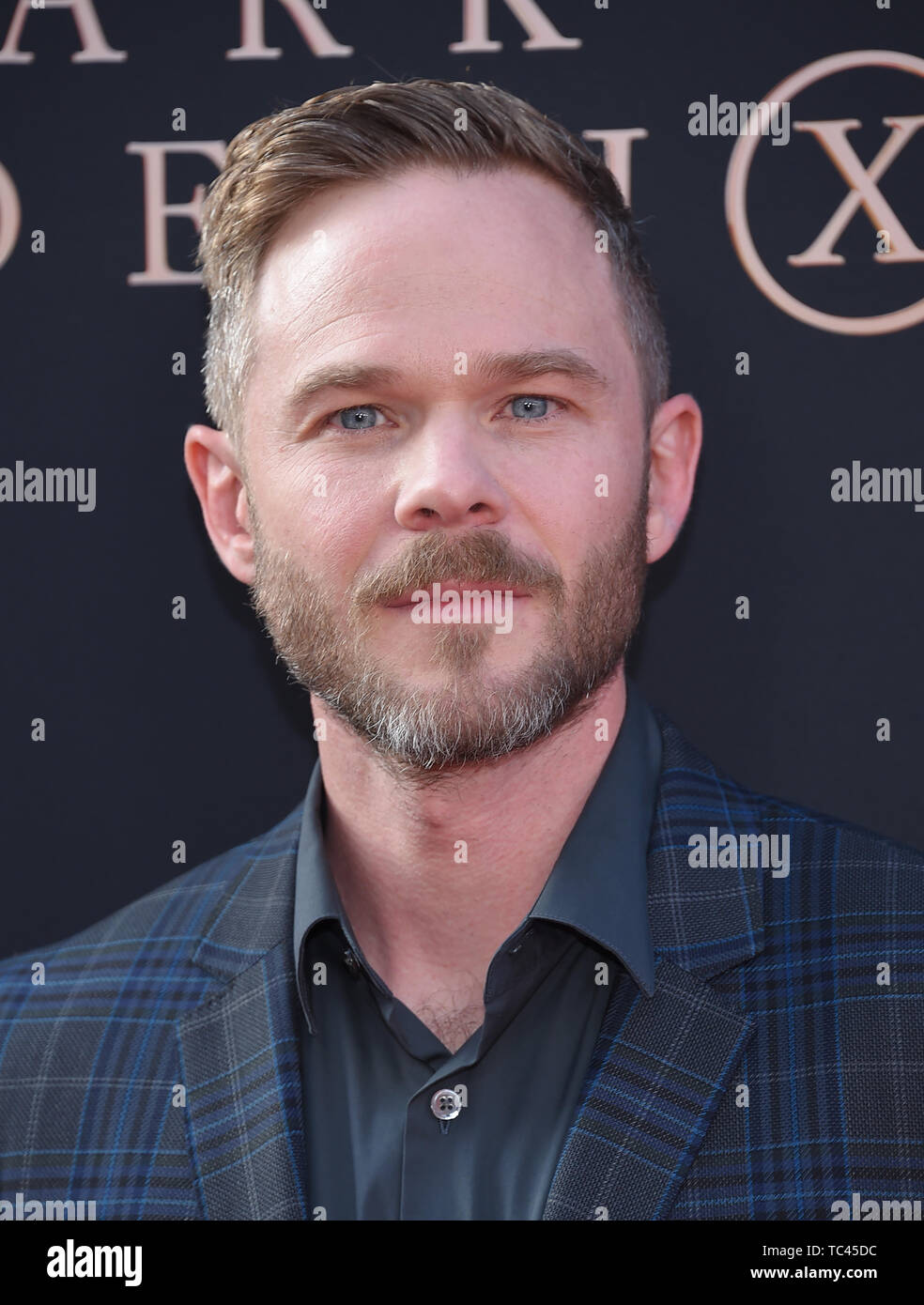 4 giugno 2019 - Hollywood, California, Stati Uniti - Shawn Ashmore arriva per la premiere del film 'Dark Phoenix" presso il Teatro Cinese. (Credito Immagine: © Lisa O'Connor/ZUMA filo) Foto Stock