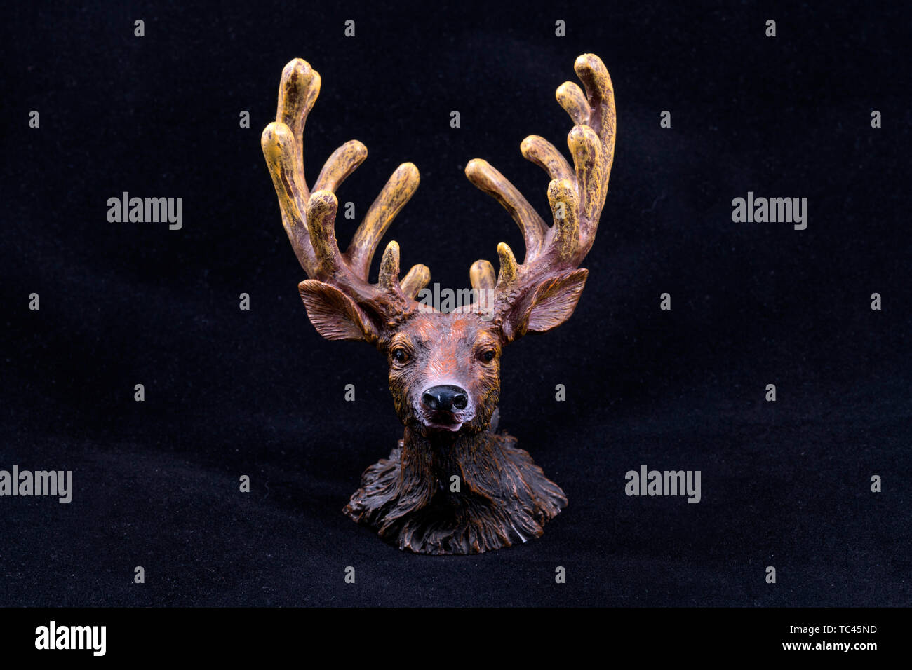 Testa di cervo Foto Stock