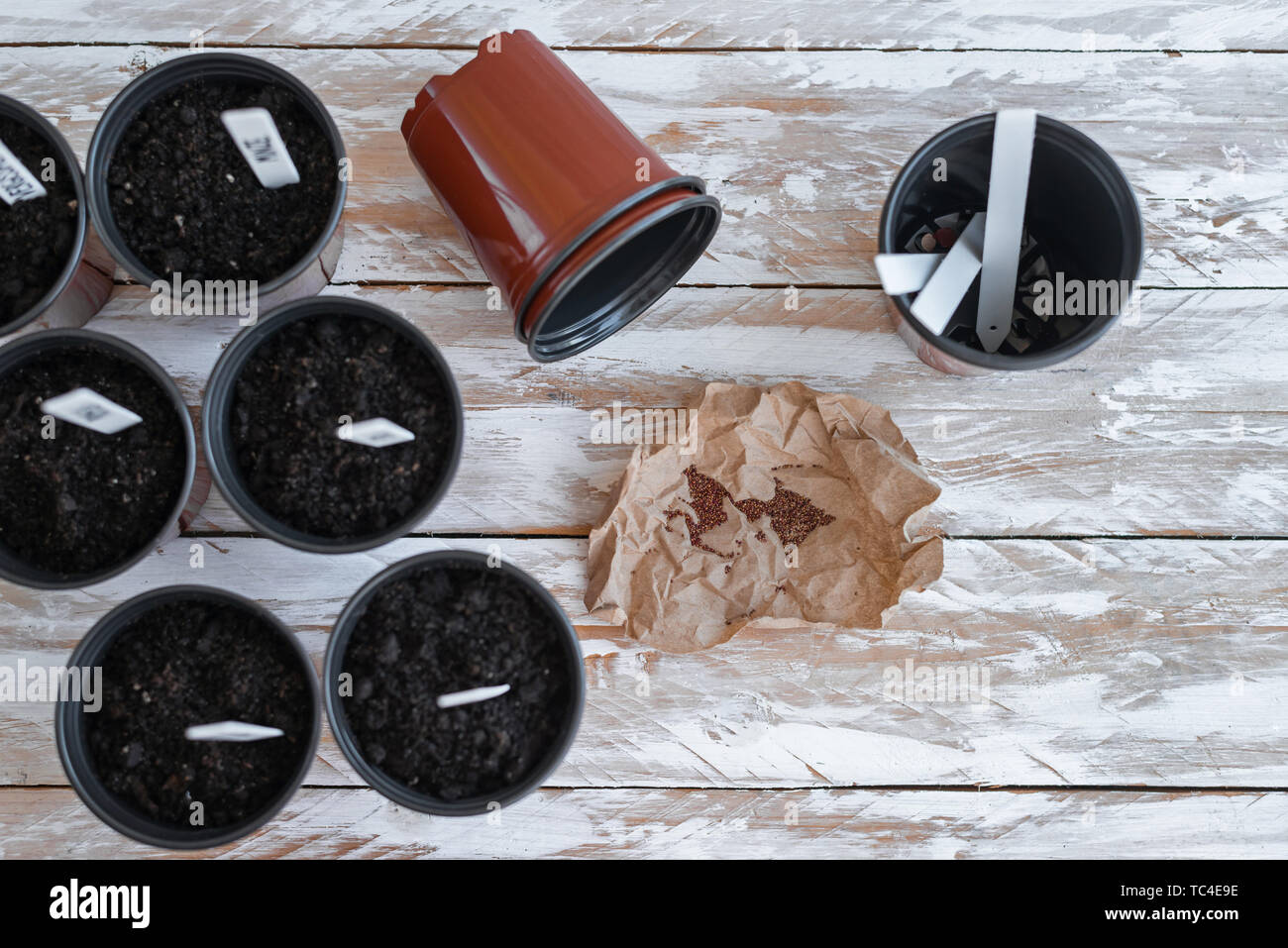 Pentole marrone con il nero del suolo, di etichette bianche e semi di piante su un letto di sacco dello sfondo. Foto Stock