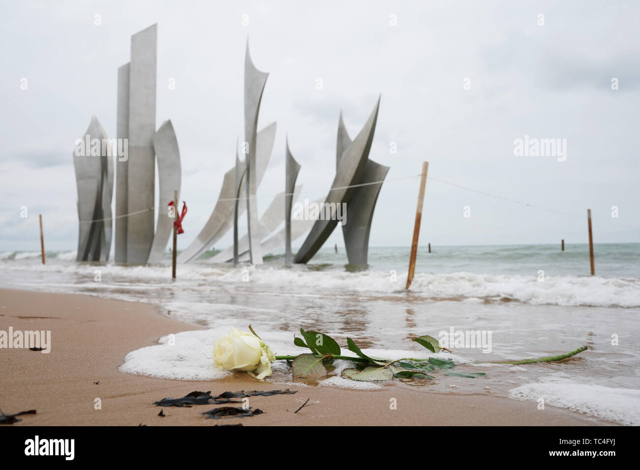 Un singolo White Rose si trova nella parte anteriore del Les Braves scultura sulla spiaggia di Omaha durante le commemorazioni per il settantacinquesimo anniversario dello sbarco in Normandia. Foto Stock