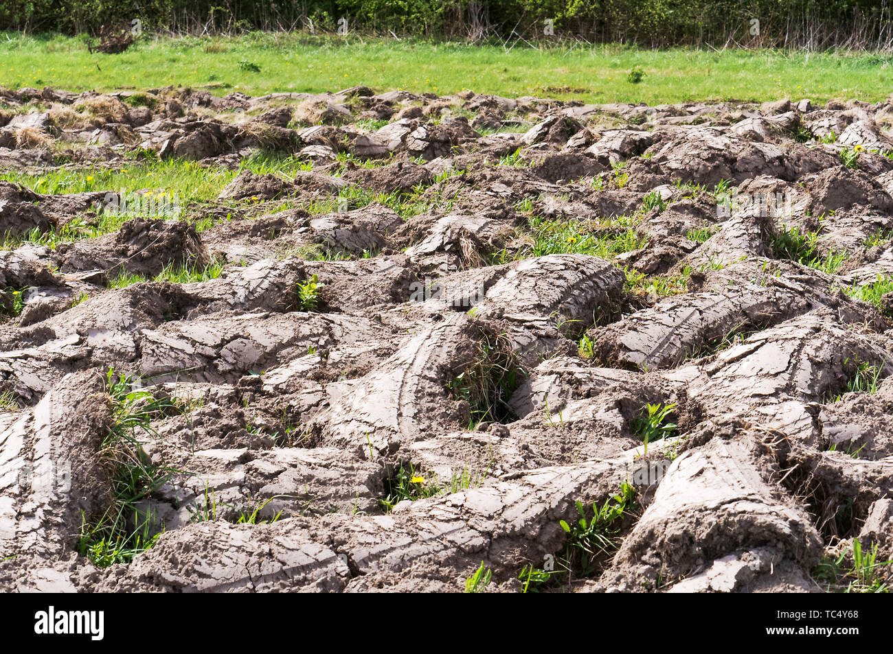 Arò terreno vergine, siccità nei campi Foto Stock