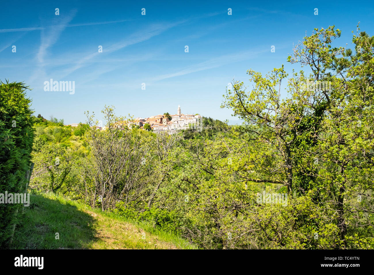 Vista della città vecchia di Labin con chiesa vicino Rabac in primavera in Istria, Croazia, Europa Foto Stock