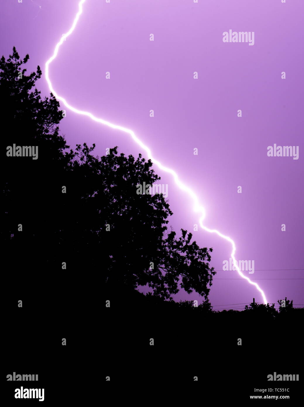 Fulmine colpisce diagonalmente, alberi di inquadratura in primo piano Foto Stock