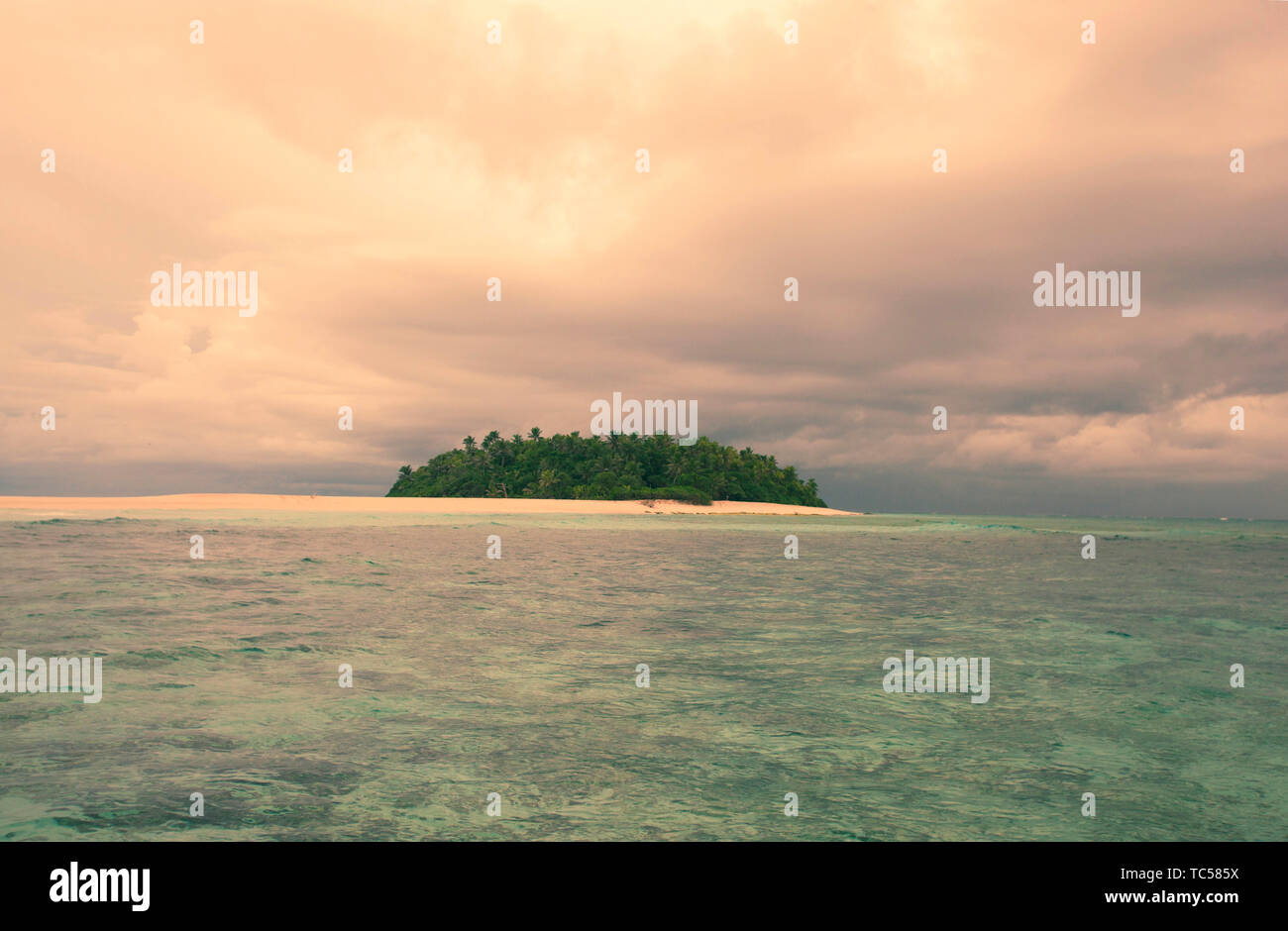 Isole Figi Foto Stock