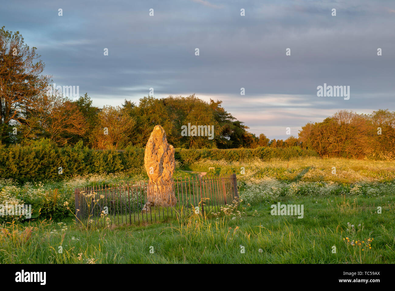 Il Rollright Stones, Il Re pietra a sunrise, Oxfordshire, Inghilterra Foto Stock