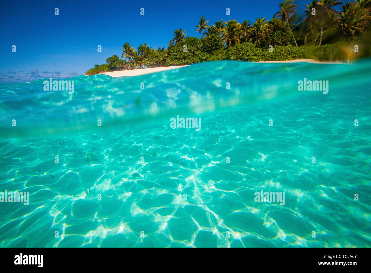 Isole Figi Foto Stock