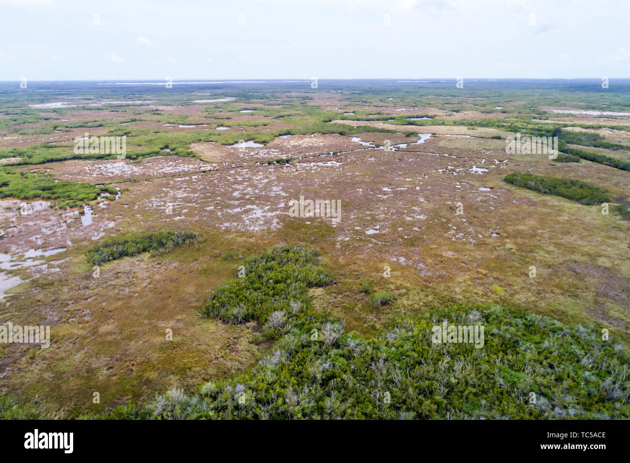 Naples Florida, Tamiami Trail Route 41, Everglades, Fakahatchee Strand state Preserve, vista aerea dall'alto, FL190514d78 Foto Stock