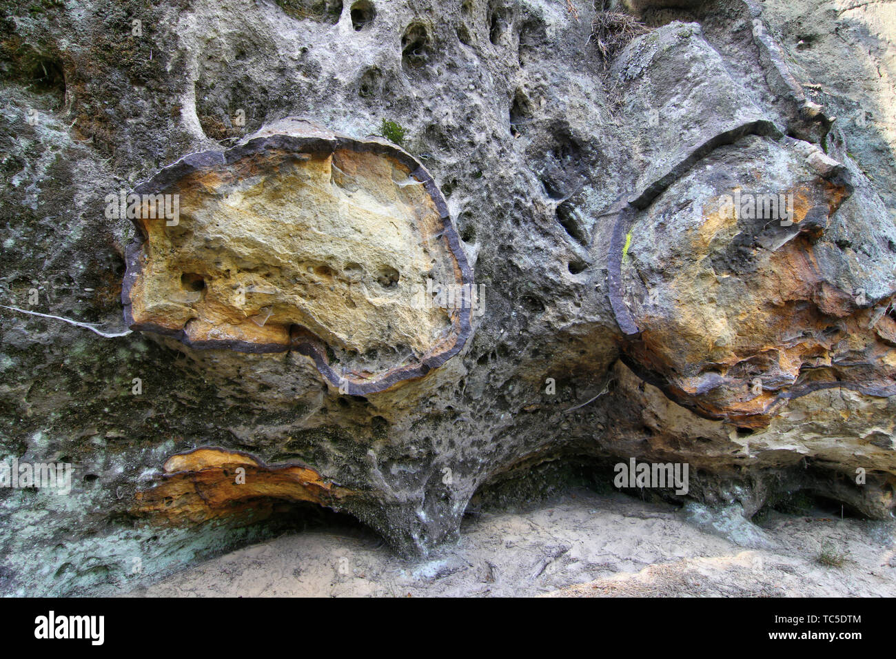 Bizzarra formazione geologica - registro di ferro nelle rocce di arenaria - bog il minerale di ferro della incrostazione Foto Stock