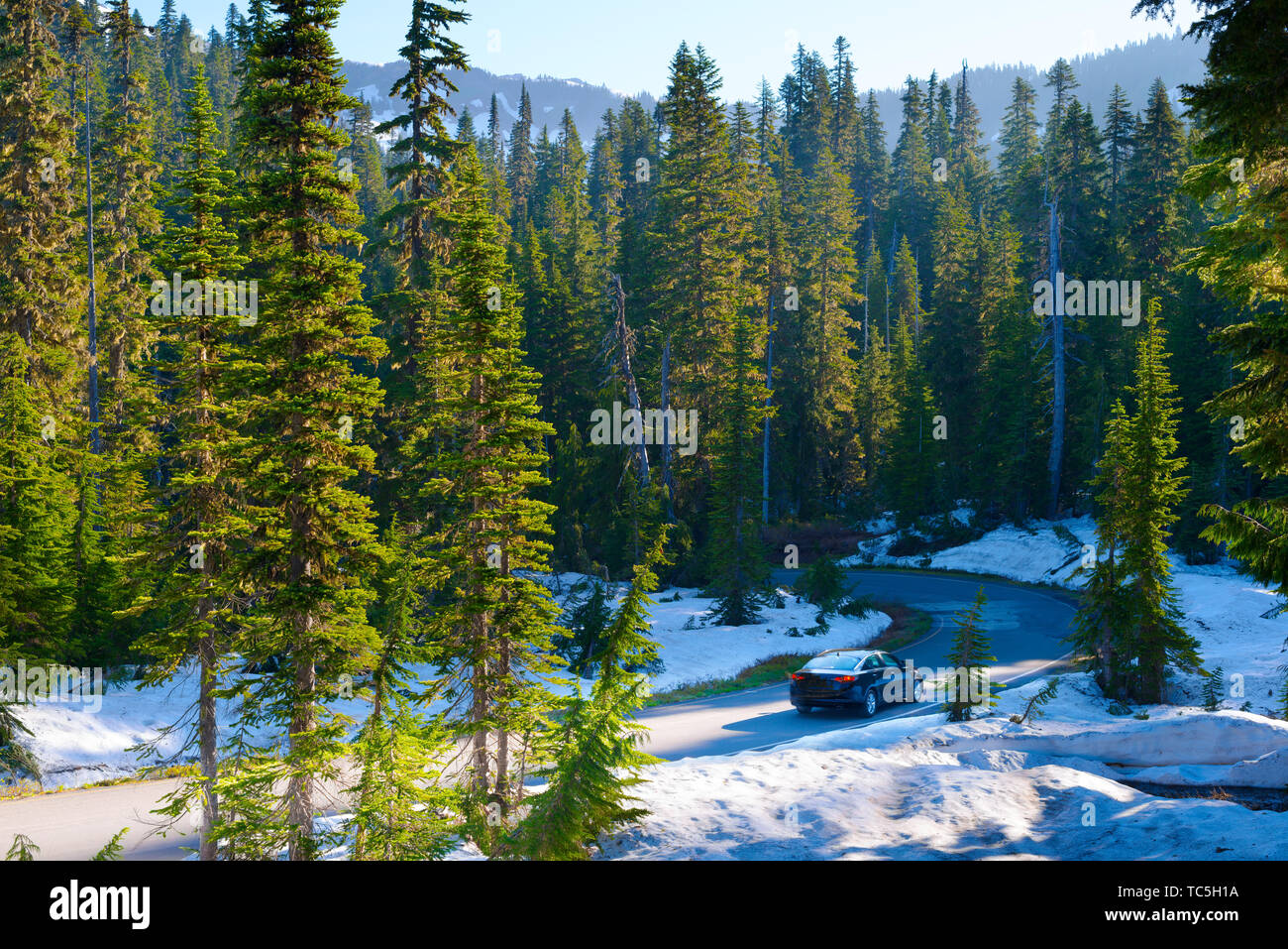 Road presso il Parco Nazionale del Monte Rainier, nello Stato di Washington, USA Foto Stock