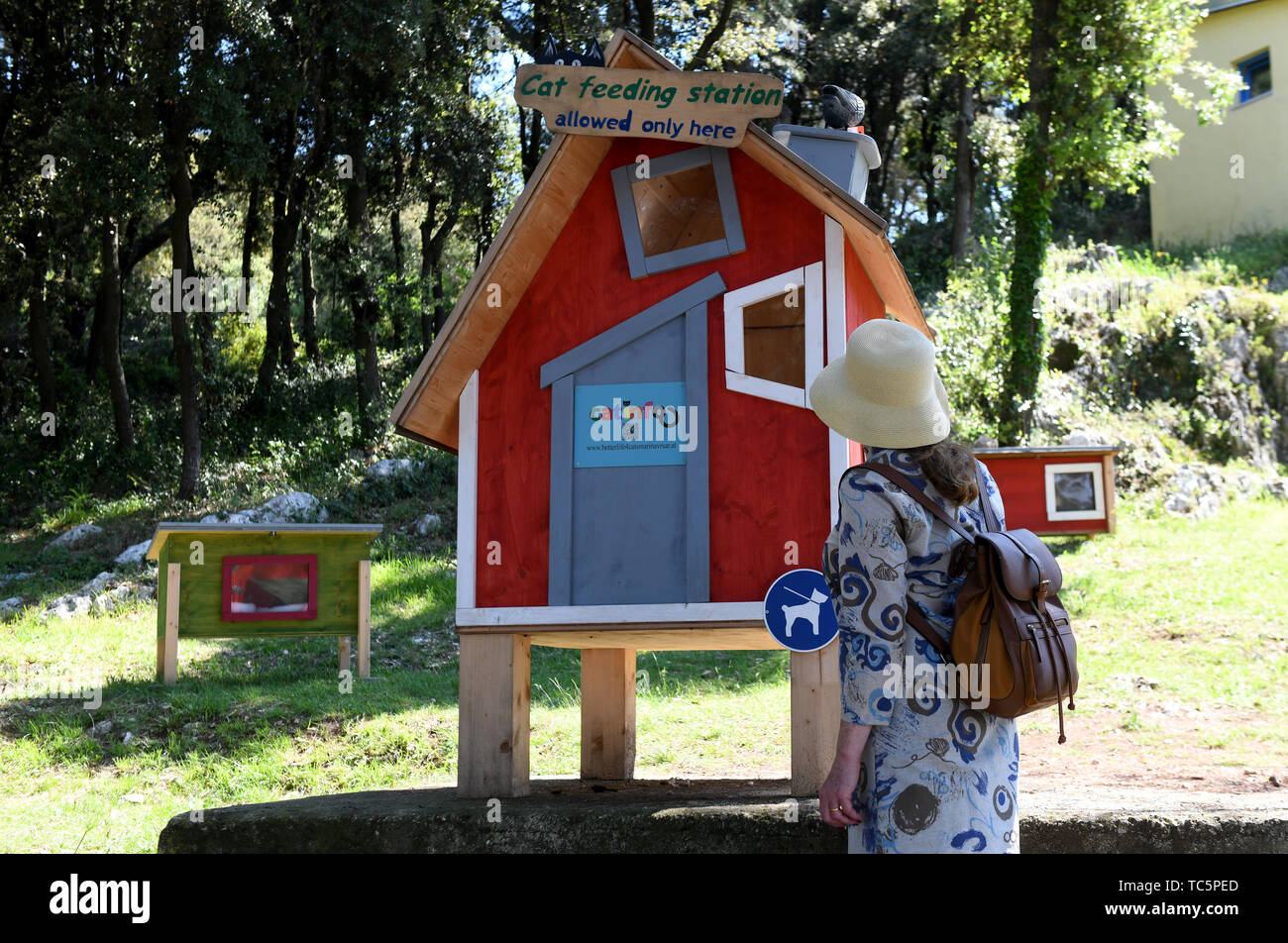 Stazione di alimentazione per gatti selvatici di Orsera, Croazia Foto Stock