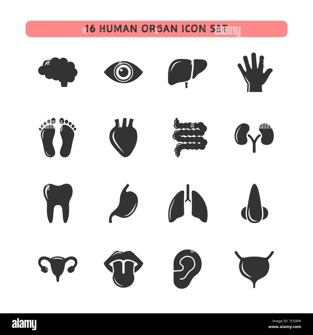 Organo umano icon set. Isolato illustrazione vettoriale Illustrazione Vettoriale