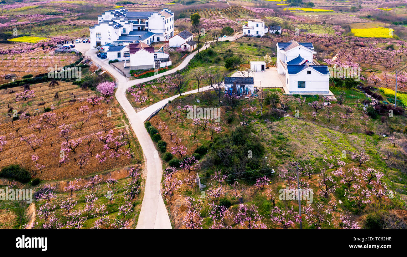 Taohuadu, Da Qingshan Picky Flower Village, Dangtu County, Maanshan Città, provincia di Anhui, 26 marzo 2019 Foto Stock