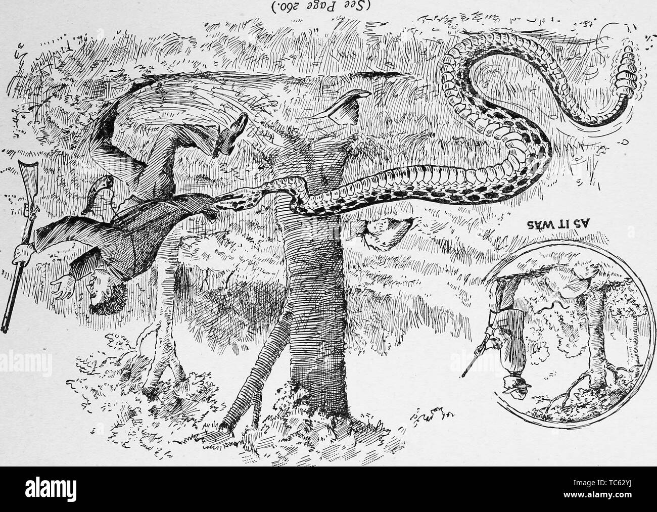 Incisione di un cacciatore spaventato in esecuzione da un rattlesnake, che morde il suo mantello-coda, dal libro "Autobiografia e reminiscenze di Teofilo Noel' da Teofilo Noel, 1904. La cortesia Internet Archive. () Foto Stock