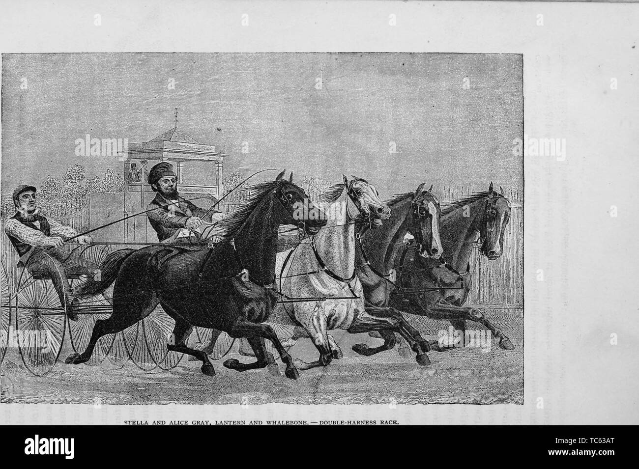Incisione di Stella e Alice grigio, Lanterna e Whalebone, passando il cavalletto in una gara per $2000, dal libro "storia industriale degli Stati Uniti fin dai primi insediamenti per il tempo presente" da Albert Sidney Bolles, 1878. La cortesia Internet Archive. () Foto Stock