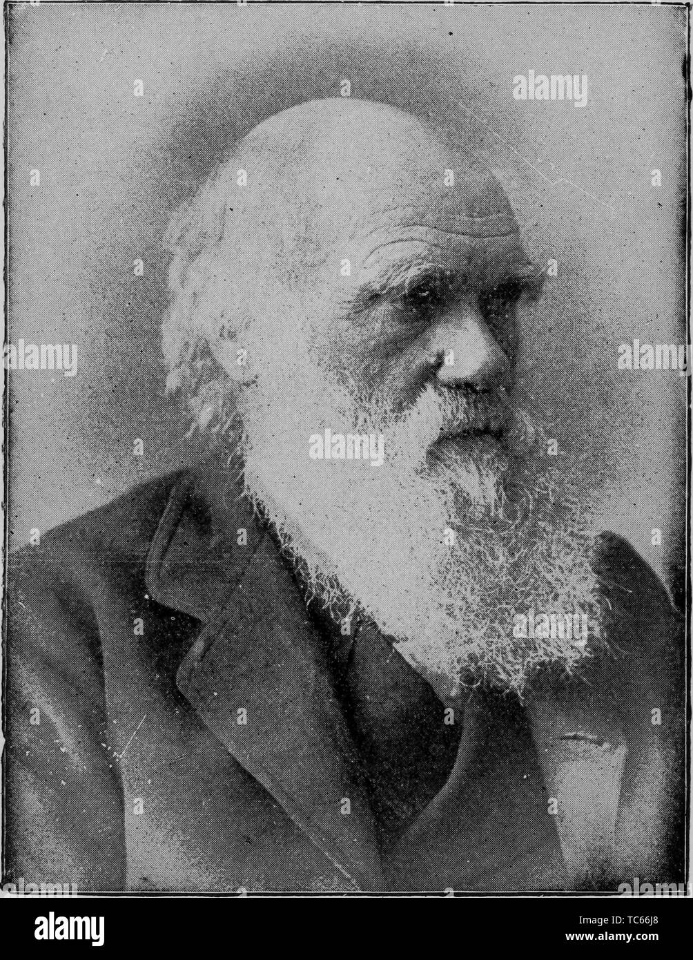 Incisi ritratto di Charles Darwin, un naturalista inglese e biologo, più noto per la sua teoria evolutiva, dal libro "La discesa dell'uomo' di Charles Darwin, 1874. () Foto Stock
