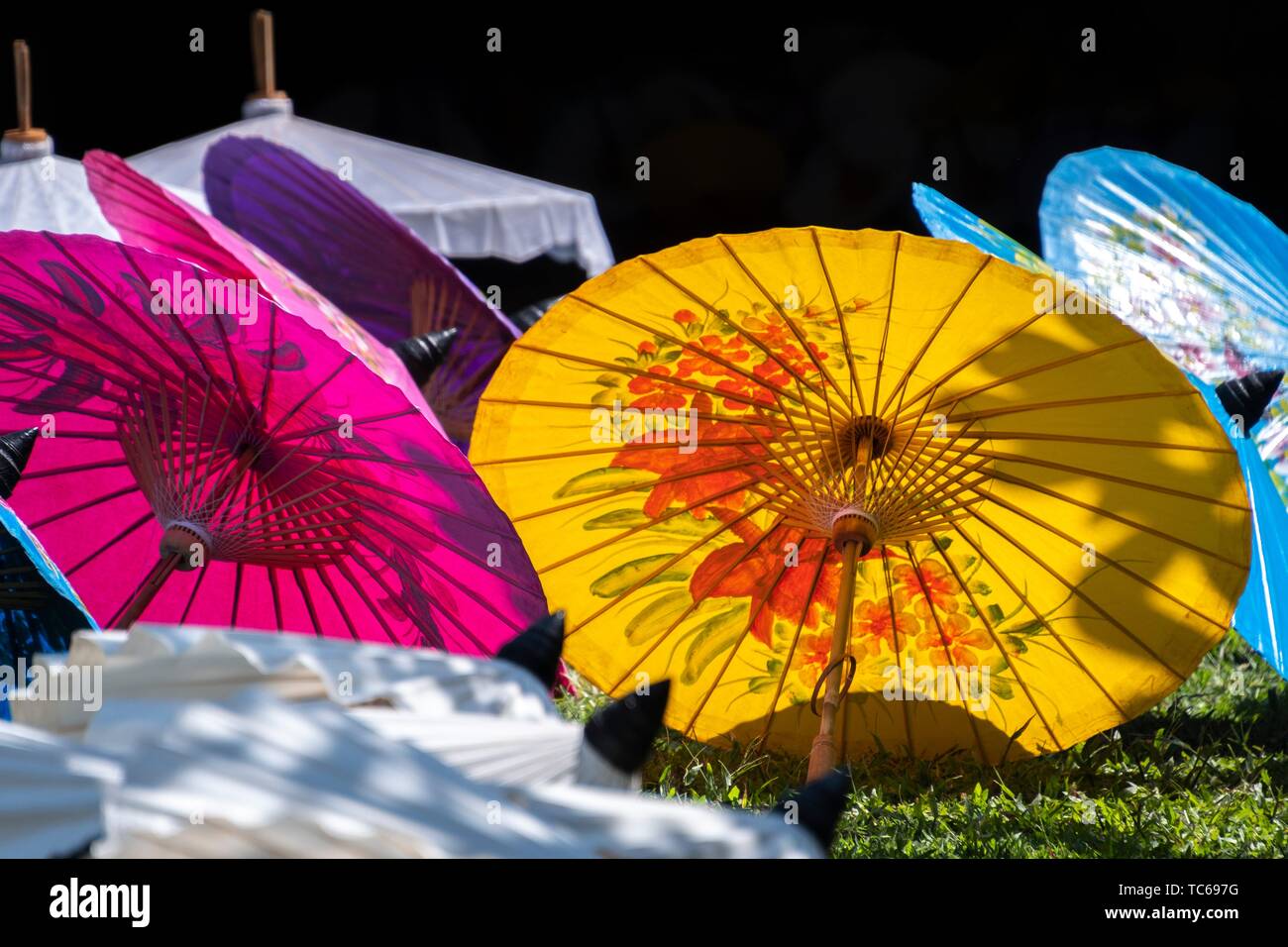 Giornata mondiale dell'ombrello immagini e fotografie stock ad alta  risoluzione - Alamy