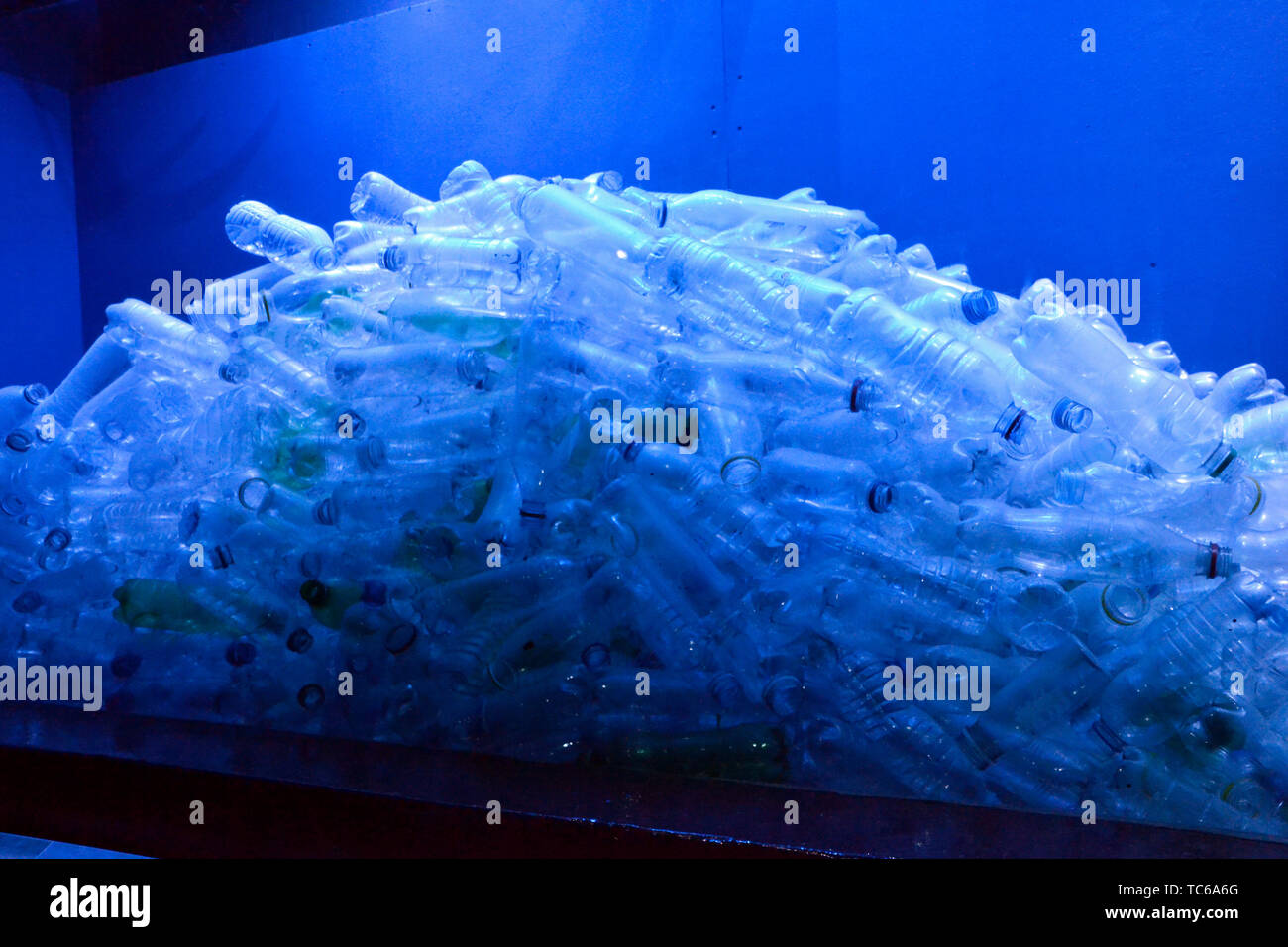 Centinaia di bottiglie di plastica in un serbatoio a London Zoo Acquario, ZSL London Zoo di Londra, Regno Unito Foto Stock