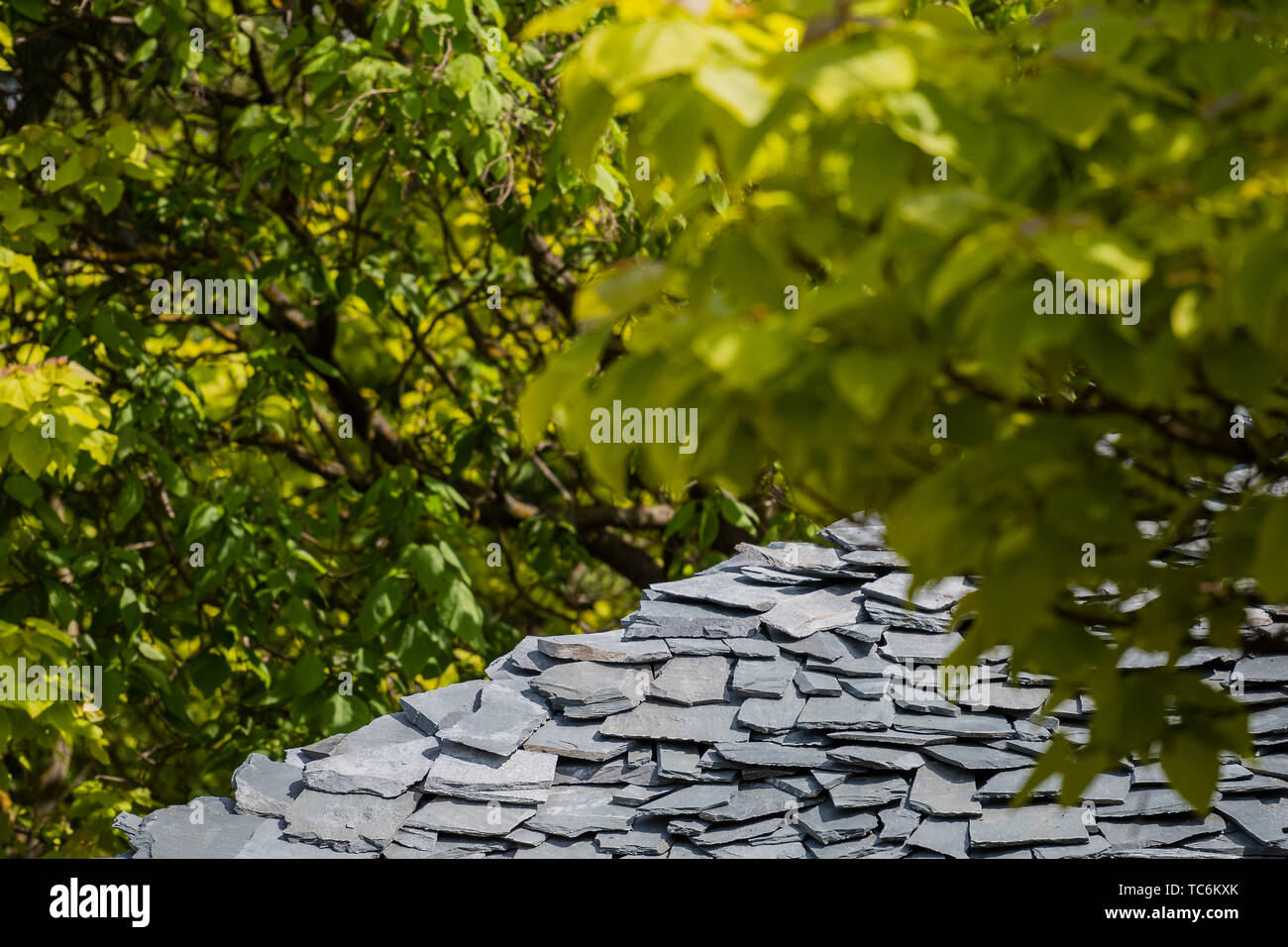 Londra, Regno Unito. 05 Giugno, 2019. Serpentine Pavilion 2019, progettato da Tokyo in base Junya Ishigami + Associates. Si apre il 21 giugno. Credito: Guy Bell/Alamy Live News Foto Stock