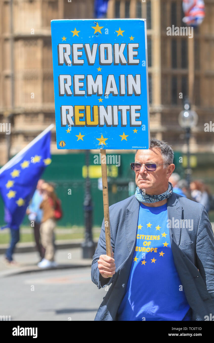 Londra REGNO UNITO. Il 6 giugno 2019. Pro rimangono manifestanti da SODEM Stand di Defiance Movimento europeo continuano a protestare al di fuori della sede del Parlamento e la campagna per fermare Brexit e revocare l'articolo 50. Il Partito Conservatore è rivolto verso la leadership contest in seguito alle dimissioni del Primo Ministro Theresa Maggio Credito: amer ghazzal/Alamy Live News Foto Stock