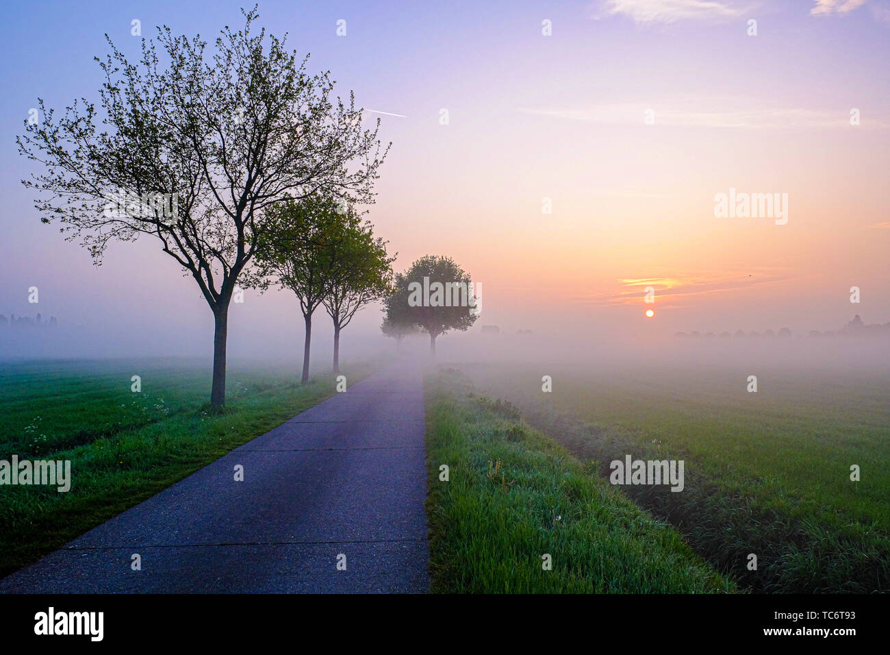 Diminuire vista della strada in foggy meteo Foto Stock