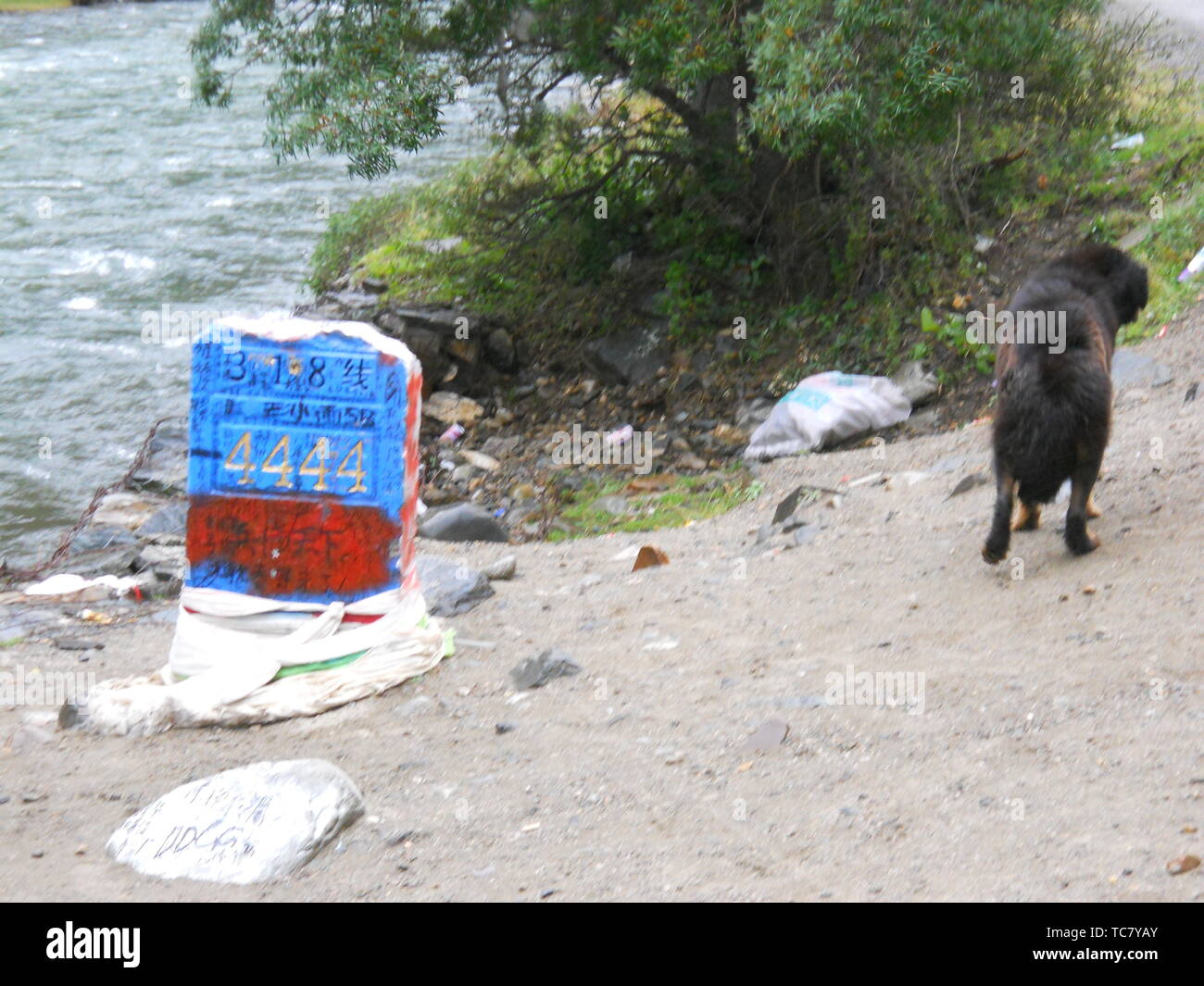 Sichuan-Tibet scenario di equitazione Foto Stock