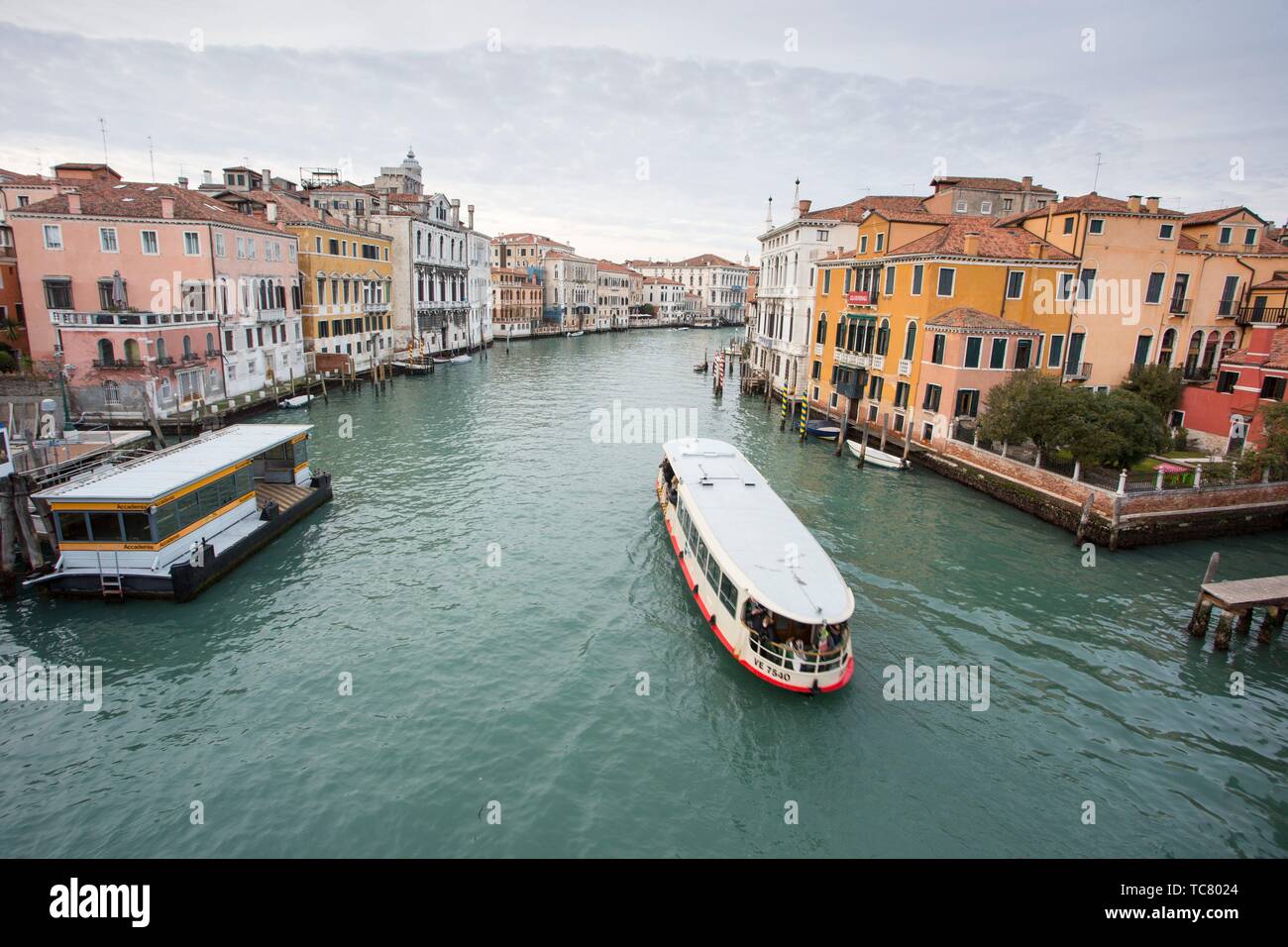 Venezia, Veneto, Italia : vista del Canal Grande dal ponte dell'Accademia. Foto Stock