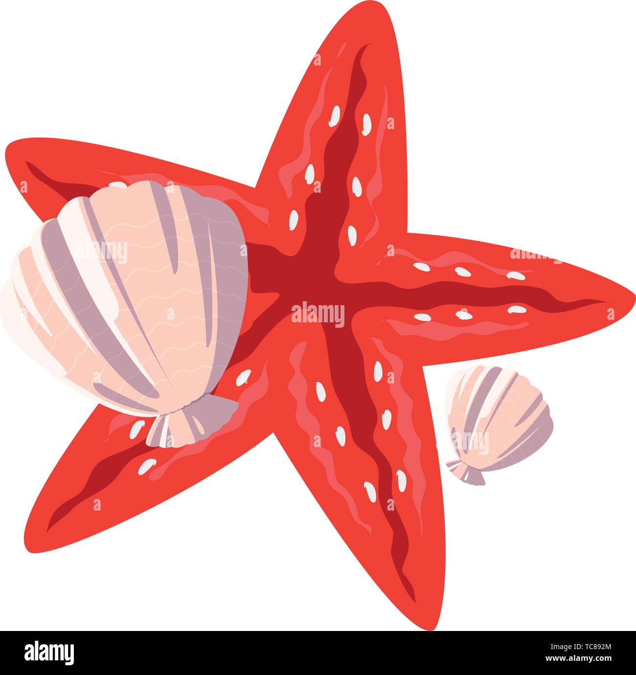 Starfish shell estate animale icona illustrazione vettoriale design Illustrazione Vettoriale