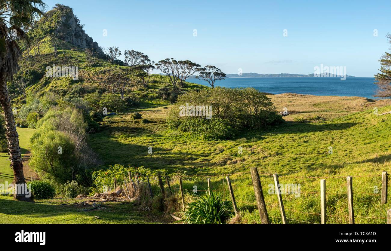 L'isola del tesoro, Pataua, Isola del nord, Nuova Zelanda Foto stock - Alamy