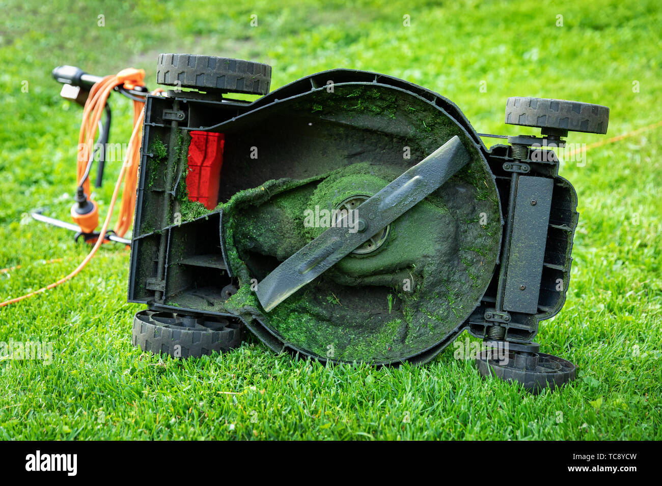 Sporco electric tosaerba in erba verde a casa cortile Foto Stock