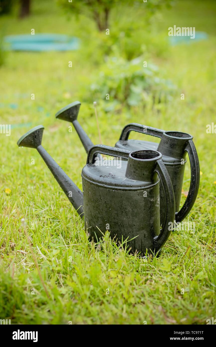 Vicino a due a due in plastica nera innaffiatoi contro alcuni luminoso verde erba.grande Annaffiatoio in plastica con acqua tra erba verde e vegetazione Foto Stock