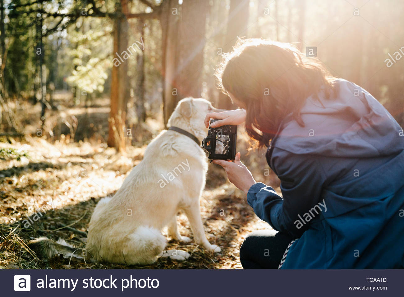 Donna con fotocamera digitale fotografare cane, escursioni nei boschi di sole Foto Stock