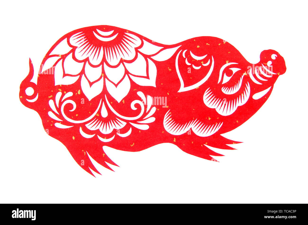 Festival di Primavera di taglio della carta - il maiale Foto Stock