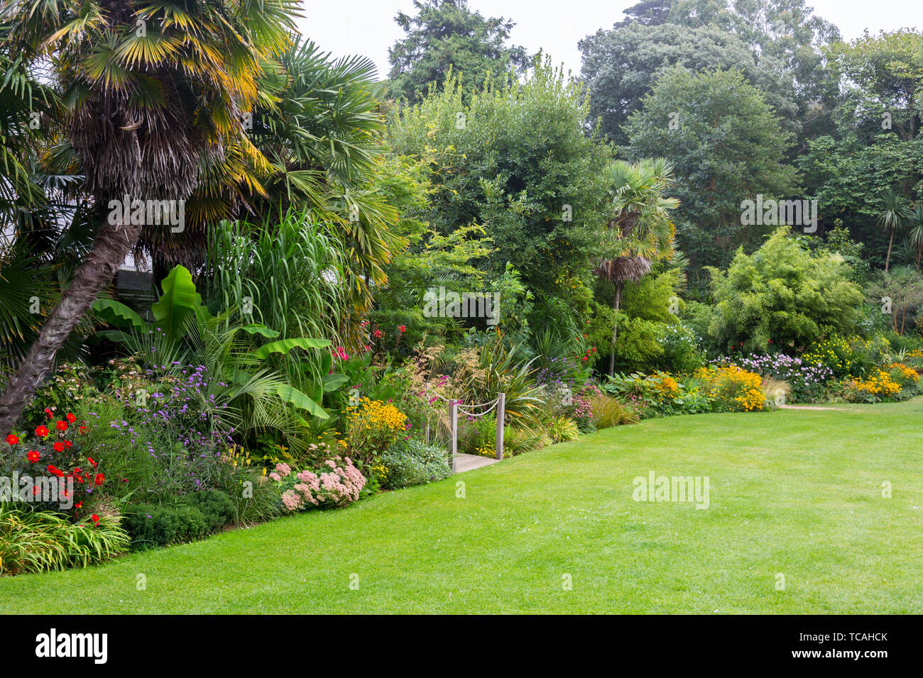 Un confine erbacee accanto al Prato Ovest Abbotsbury giardini subtropicali, Dorset, England, Regno Unito Foto Stock