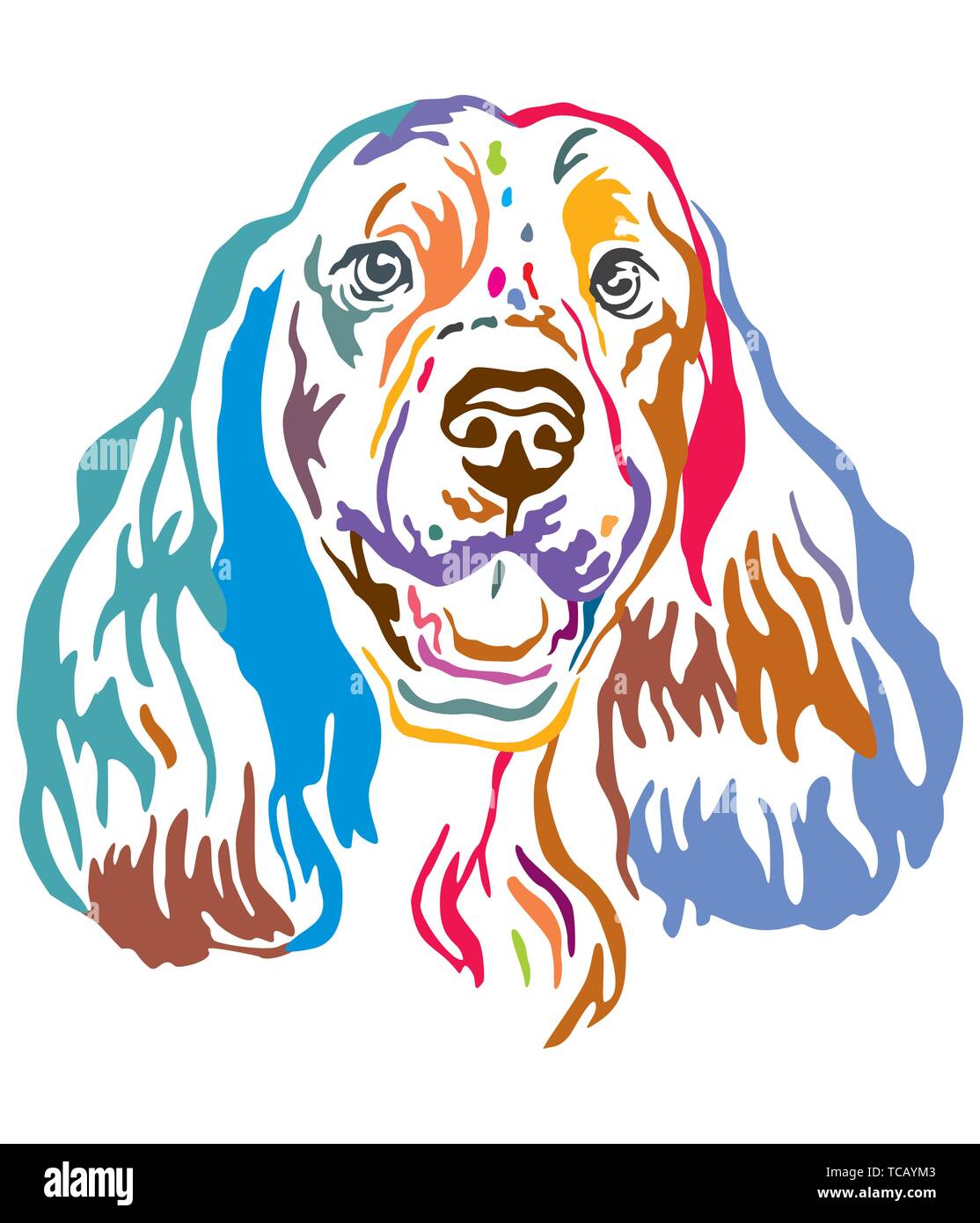 Colorato contorno decorativo ritratto di Springer Spaniel cane, illustrazione vettoriale in colori diversi isolati su sfondo bianco. Immagine per la progettazione di un Illustrazione Vettoriale