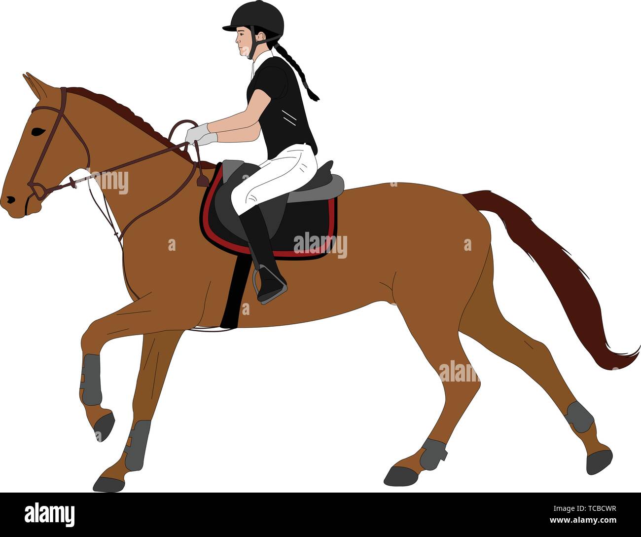 Giovane donna cavallo horsecolor illustrazione. Sport Equestri. Equitazione - Dressage vettore Illustrazione Vettoriale