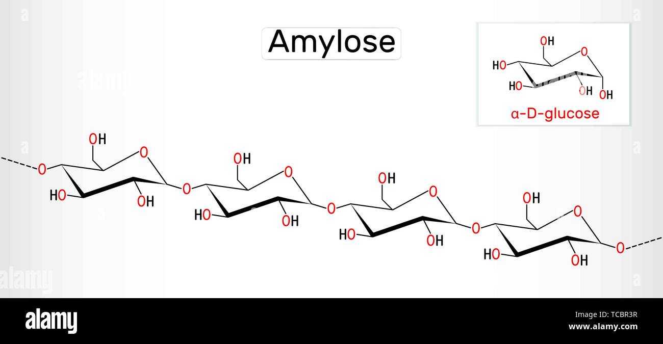 Molecola di amilosio. Si tratta di un polisaccaride e di uno dei due componenti di amido. Formula chimica di struttura. Illustrazione Vettoriale Illustrazione Vettoriale