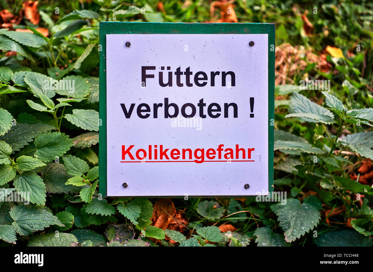 Firmare con l'iscrizione. - Lettere con Füttern verboten! Mezzi Kolikengefahr alimentare vietato! Rischio di coliche Foto Stock