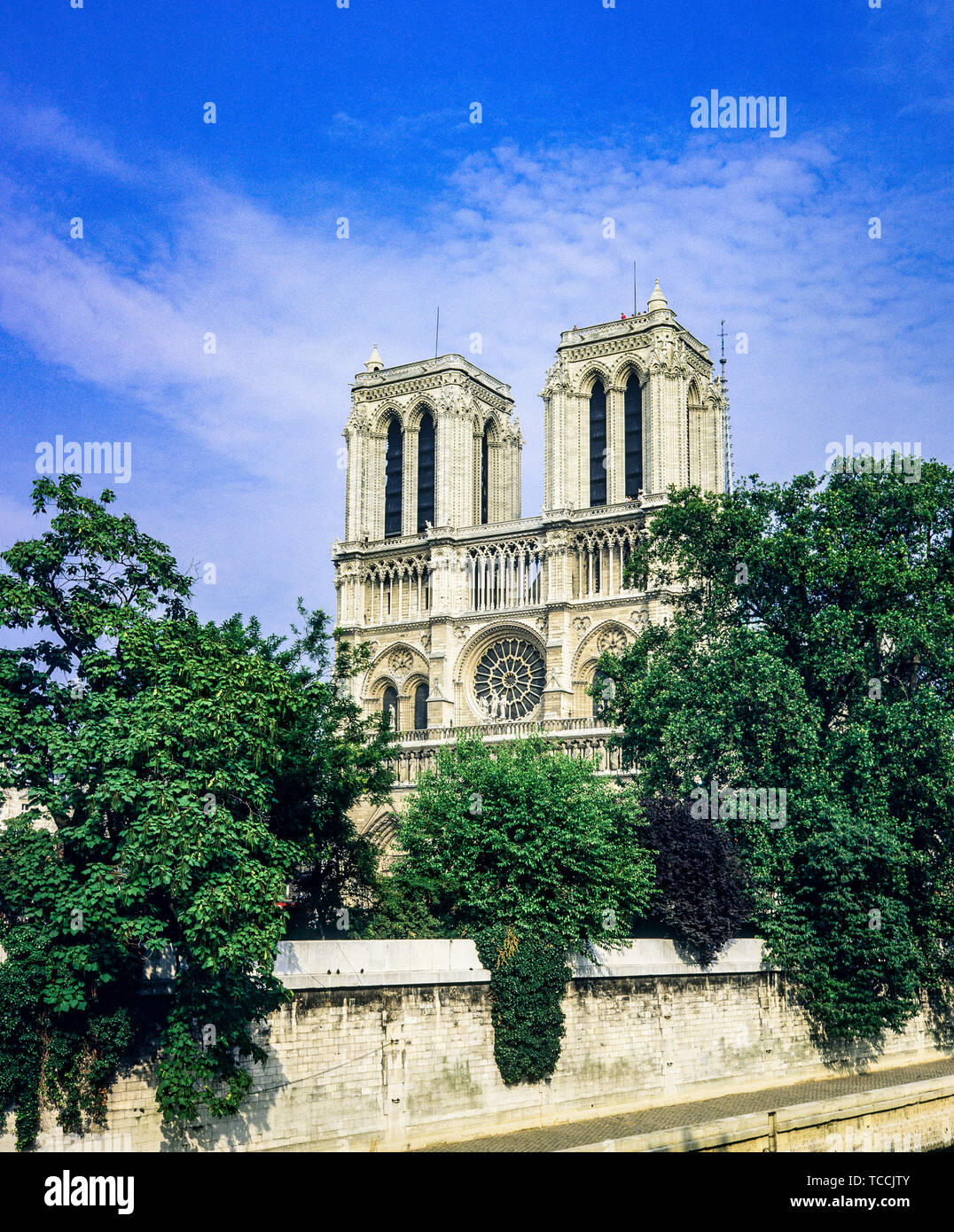 La cattedrale di Notre Dame di Parigi ovest transetto facciata circondata dal verde, Ile de la Cité isola, Parigi, Francia, Europa Foto Stock