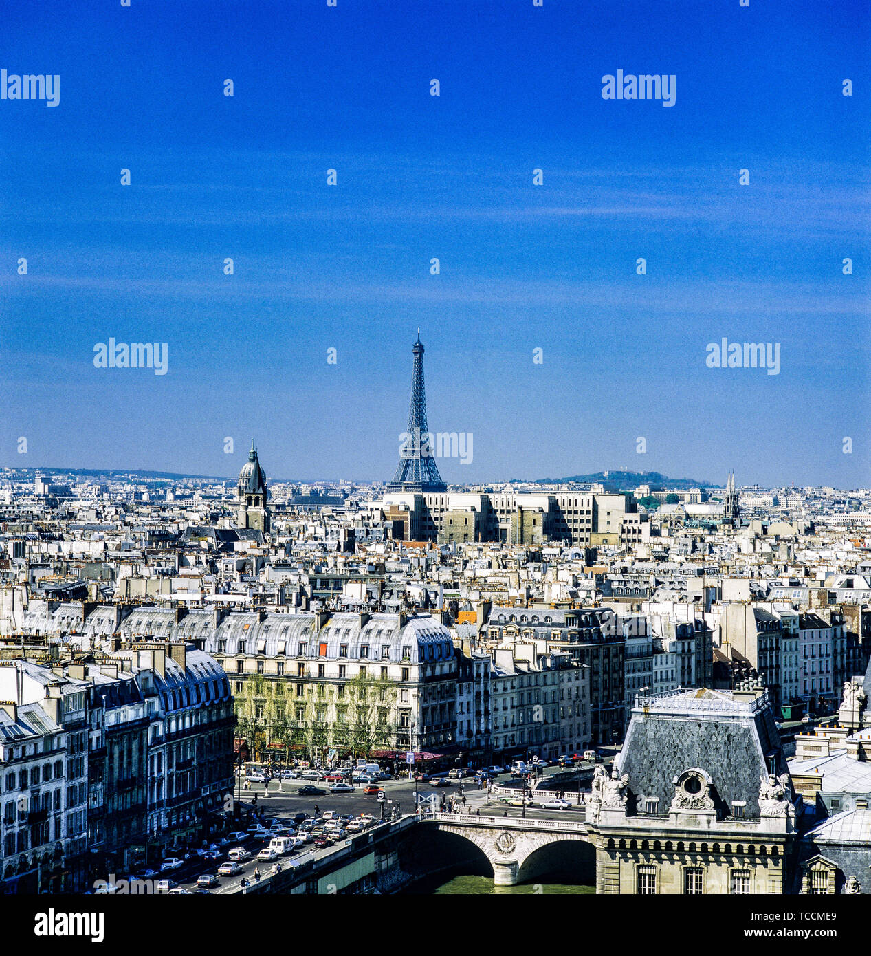 Panoramica della città dalla cattedrale di Notre Dame de Paris cathedral,  Left Bank, quartiere latino, Tour Eiffel Tower in distanza, Parigi,  Francia, Europa Foto stock - Alamy