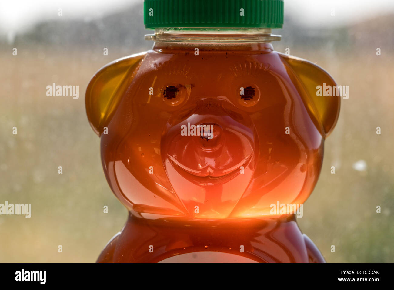 Incandescente back lit miele in orso jar Foto Stock