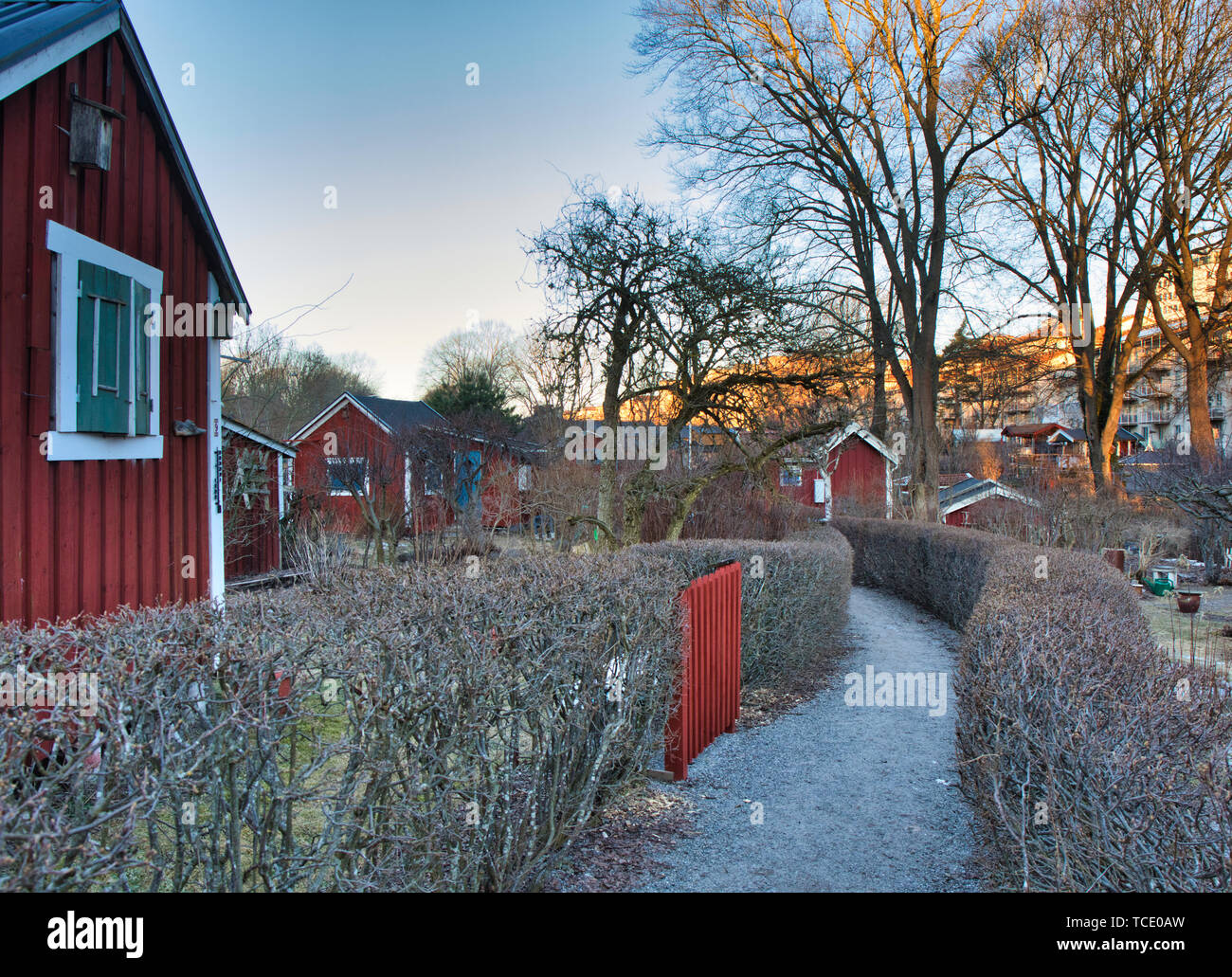 Percorso attraverso Tantolunden riparto giardini, Sodermalm, Stoccolma, Svezia e Scandinavia Foto Stock